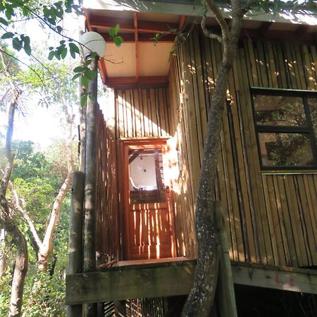 Waterbessiebos Cottage Tzaneen Luaran gambar