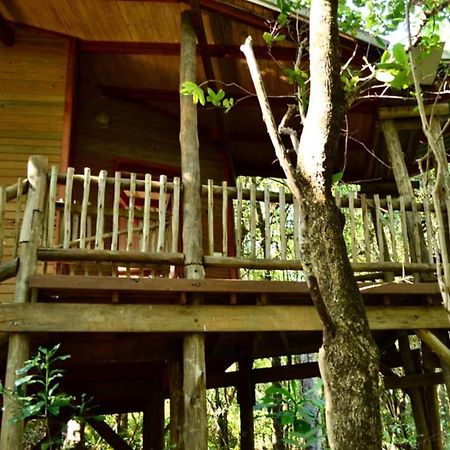 Waterbessiebos Cottage Tzaneen Luaran gambar