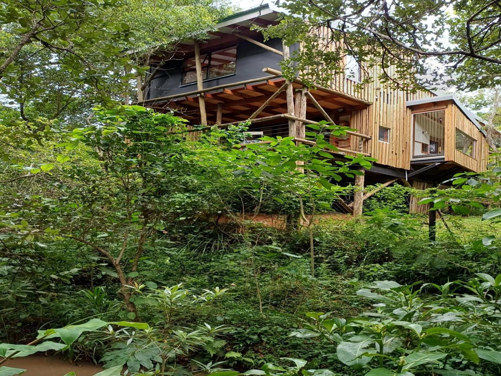 Waterbessiebos Cottage Tzaneen Bilik gambar