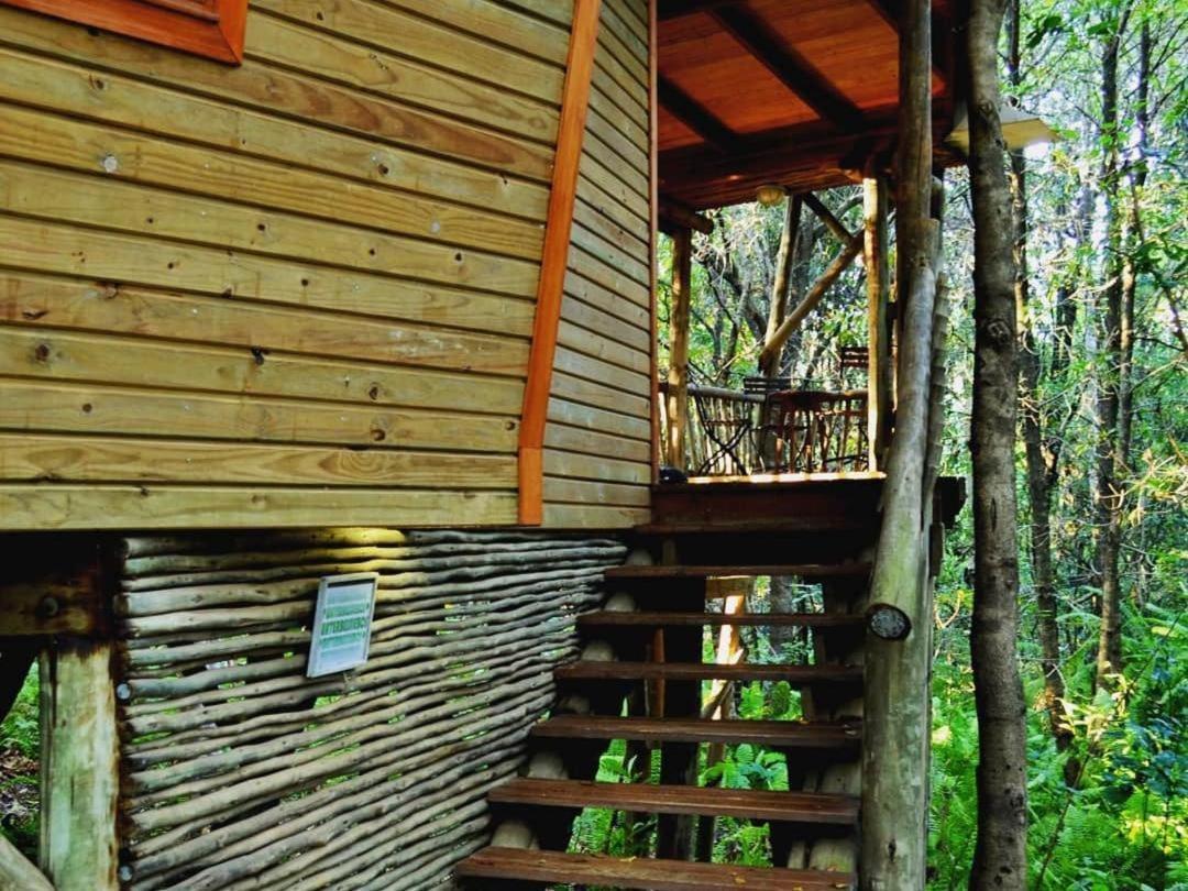 Waterbessiebos Cottage Tzaneen Luaran gambar