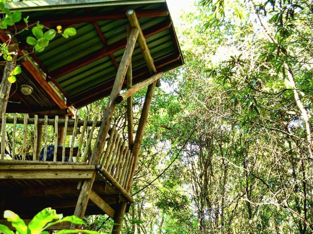 Waterbessiebos Cottage Tzaneen Luaran gambar