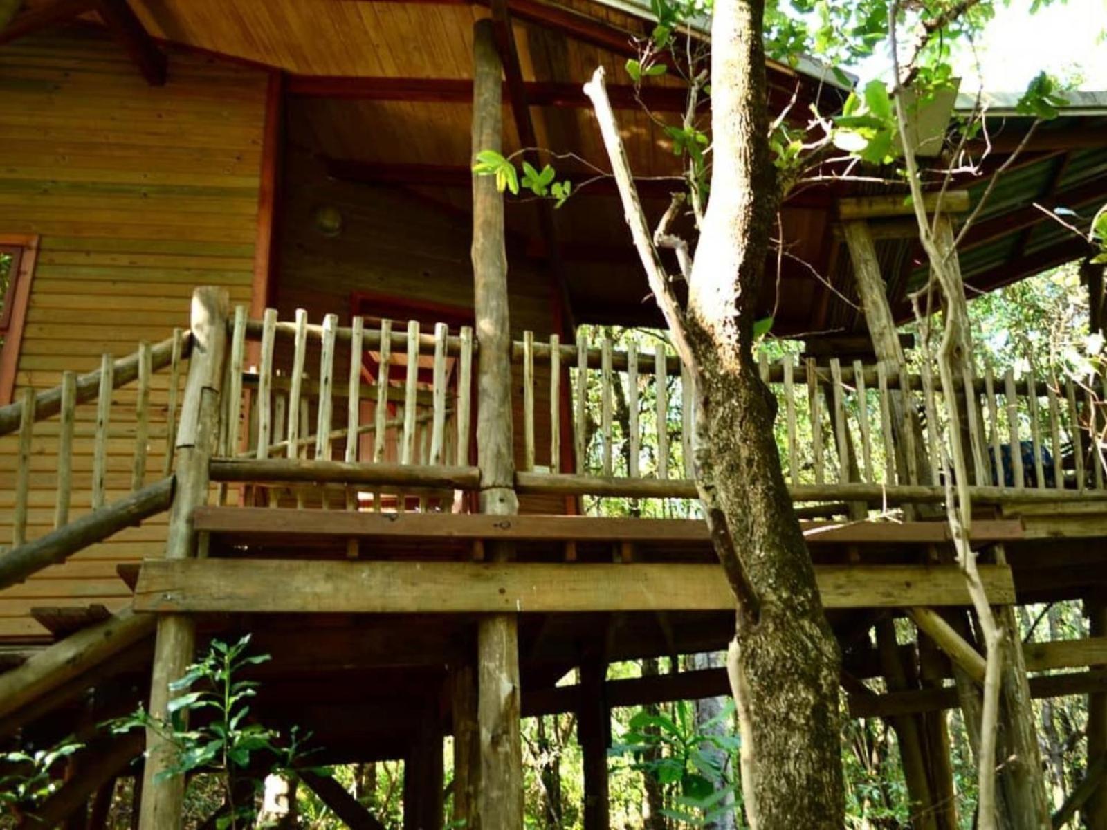Waterbessiebos Cottage Tzaneen Luaran gambar
