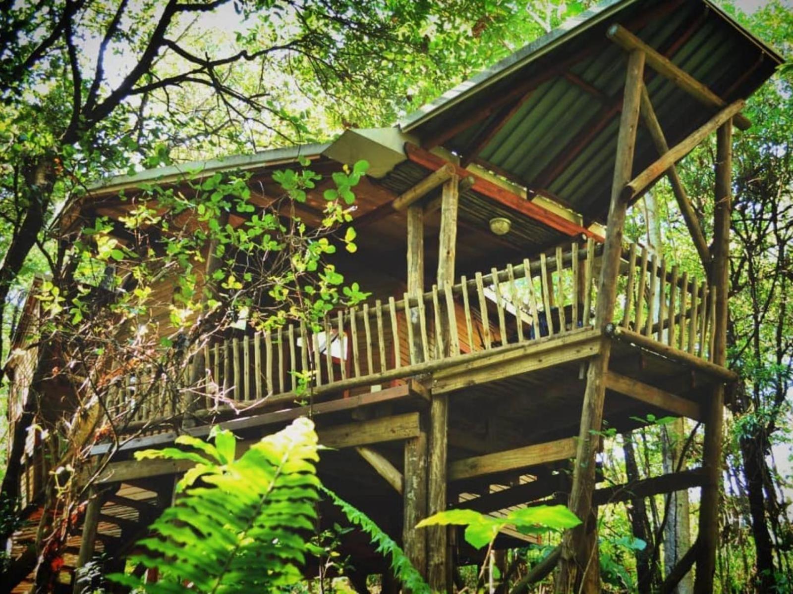 Waterbessiebos Cottage Tzaneen Luaran gambar